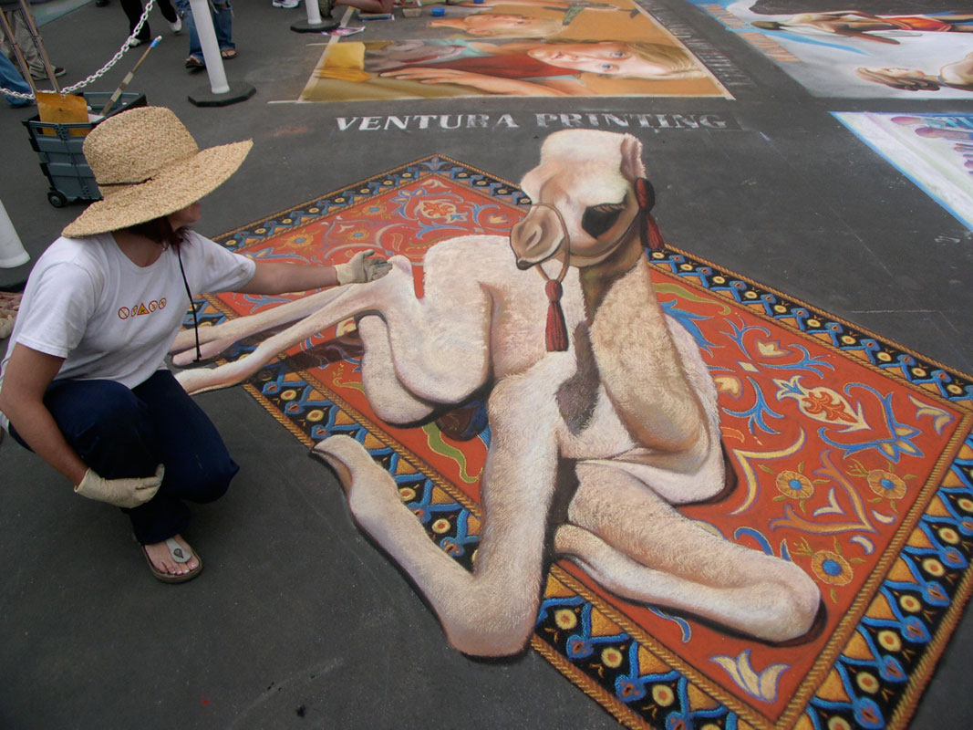 Camel 3D Chalk Art By Tracy Lee Stum