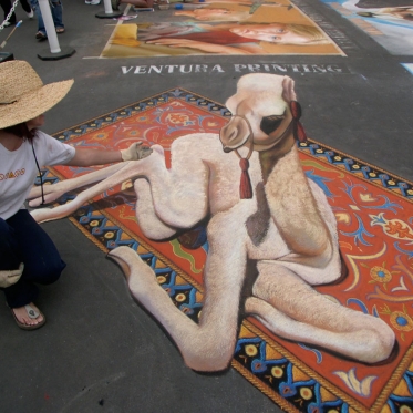 Camel 3D Chalk Art By Tracy Lee Stum