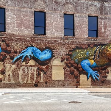 3D Lizard - Elk City