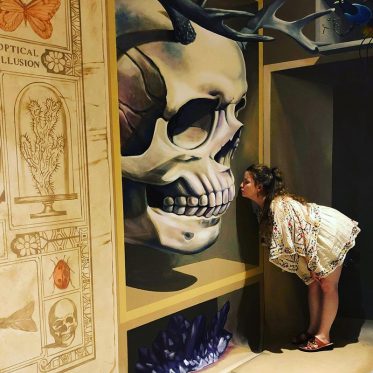 Cabinet_of_Curiosities