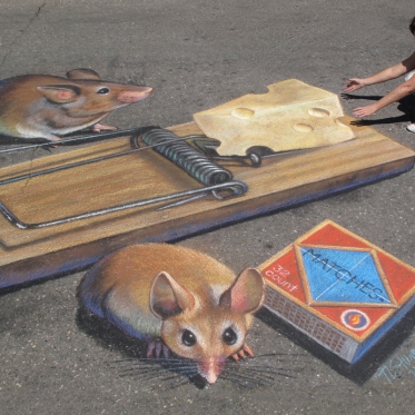 Who Gets the Cheese 3D Chalk Art By Tracy Lee Stum