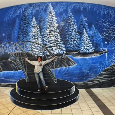 3d_tracyleestum_winterwonderland