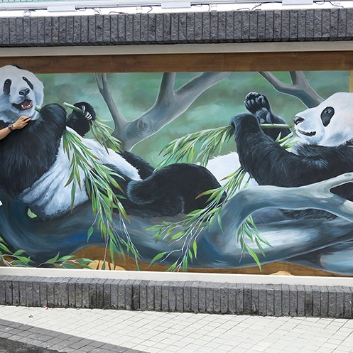 BMacau_Panda_TLStum 3D Street Art Murals