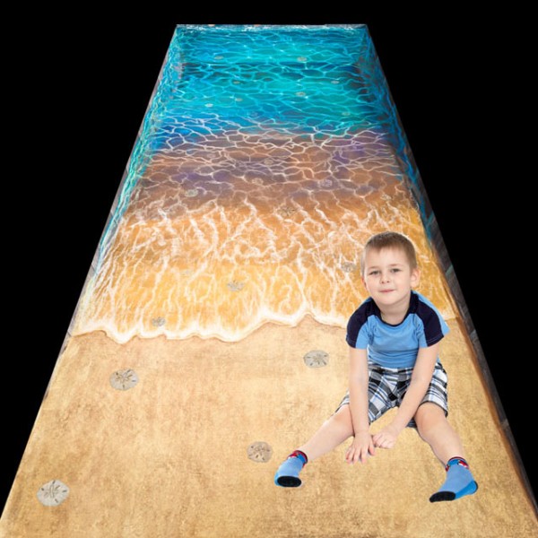 NC_sand_dollar_tlstum