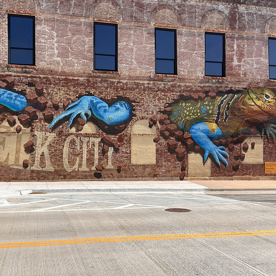 Large 3D collared lizard mural by Tracy Lee Stum painted across a brick building in downtown Elk City, Oklahoma.